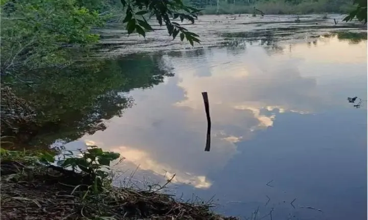 Criança de 2 anos morre após cair em represa na Linha 48, família mora em Alvorada do Oeste