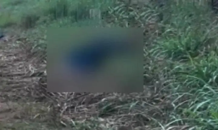 Homem é encontrado morto com marcas de tiros e corpo carbonizado em distrito de Candeias do Jamari