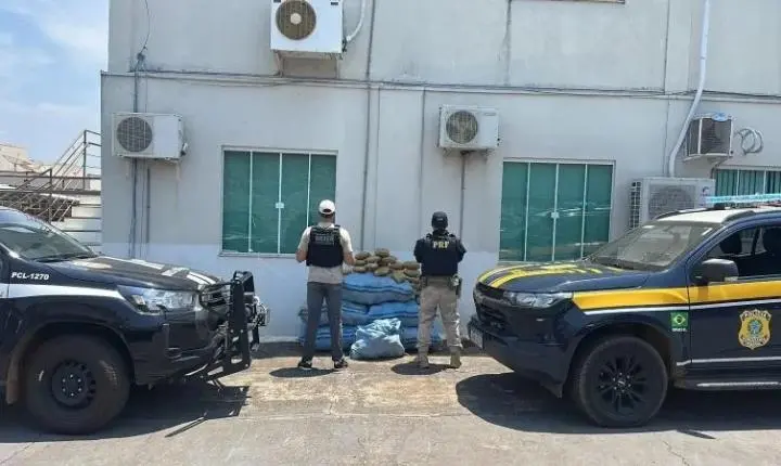 Homem é preso com 182 kg de skunk após fuga na RO-010, em Nova Brasilândia d'Oeste