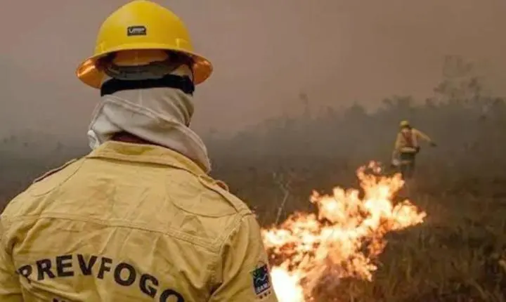 Incêndios no Amazonas exigem 13 aeronaves e mais de 390 horas de combate aéreo