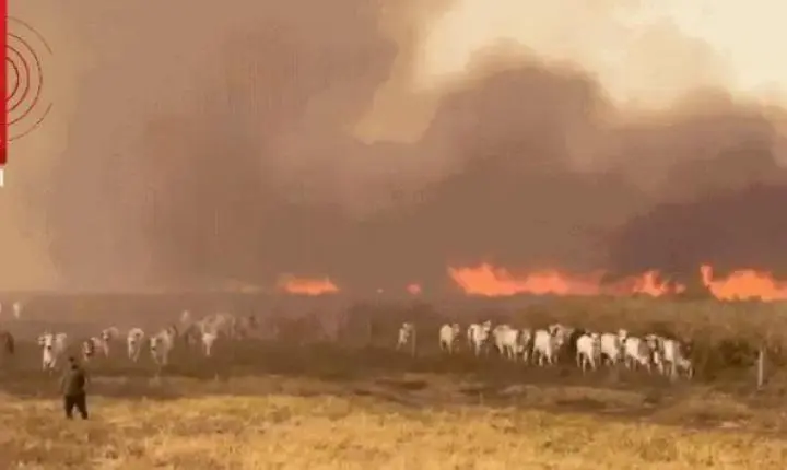 Município de MT decreta emergência e recebe reforço de aviões para combater incêndio que já dura 5 dias