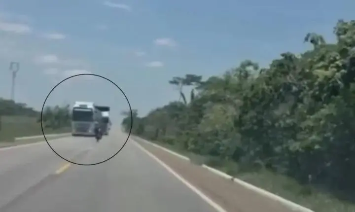 VEJA: câmera registra acidente fatal entre motociclista e caminhão boiadeiro em Rondônia